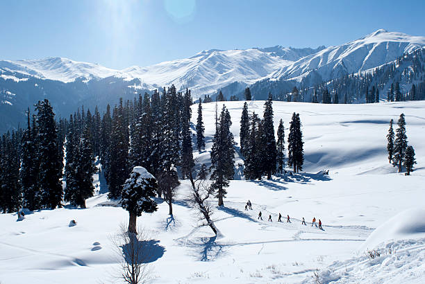 Kashmir & Manali Travel Guide – Heaven on Earth